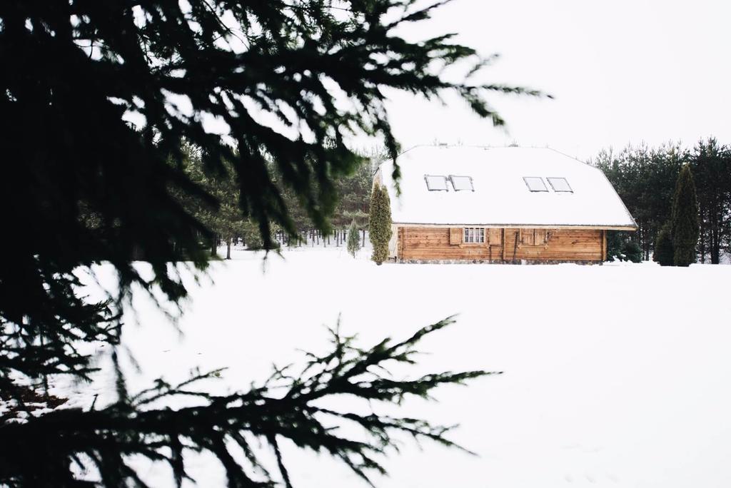 Villa Pakaso Sodyba Kirdeikiai Exterior foto