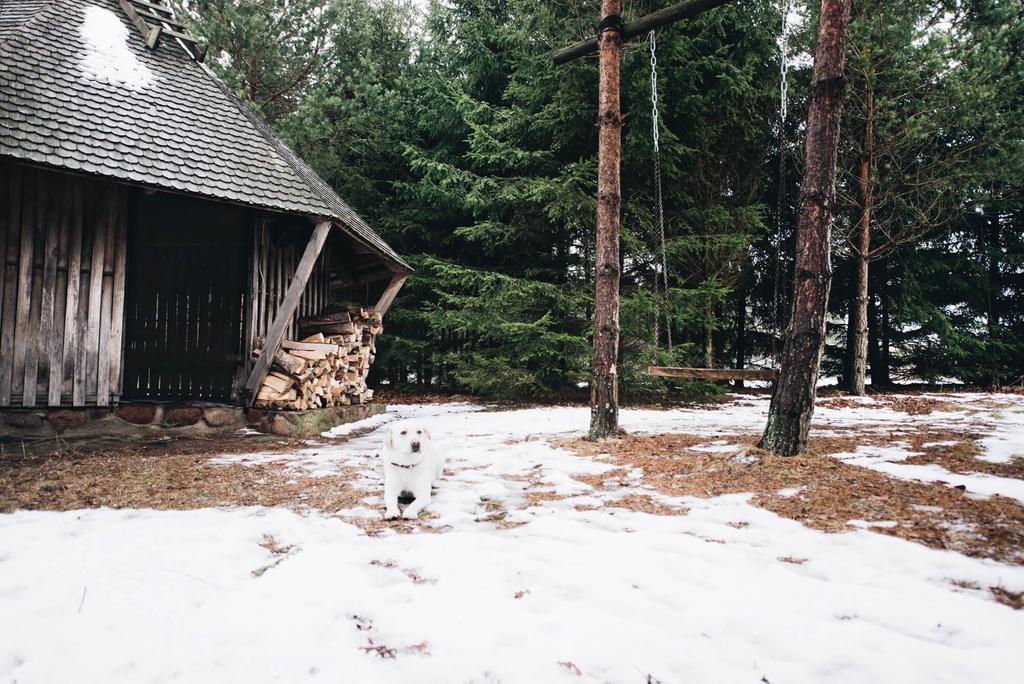 Villa Pakaso Sodyba Kirdeikiai Exterior foto